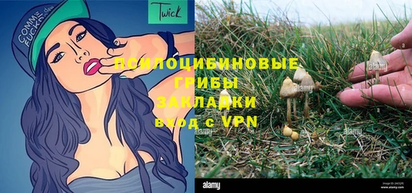 a pvp Медвежьегорск