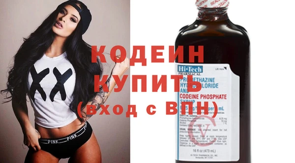 индика Мегион