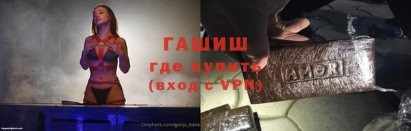 индика Мегион