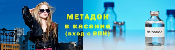 индика Мегион