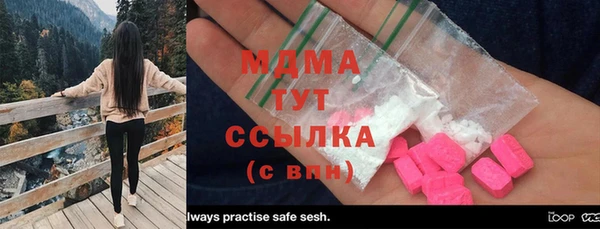 индика Мегион