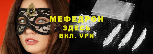 индика Мегион
