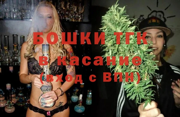 индика Мегион