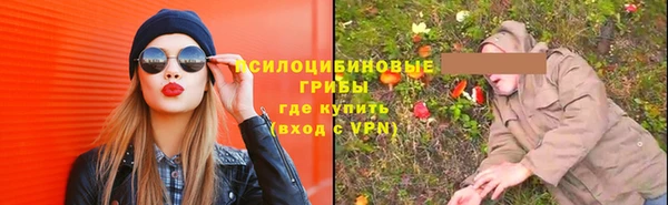 индика Мегион
