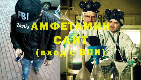 индика Мегион