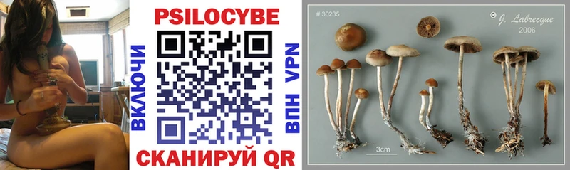 даркнет какой сайт  Козьмодемьянск  Псилоцибиновые грибы Magic Shrooms  где купить наркоту 